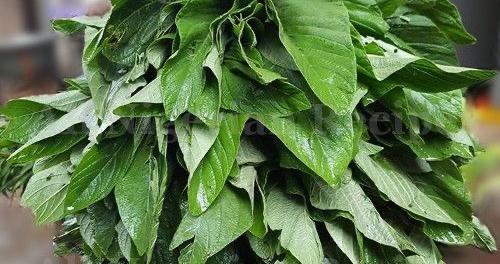 Efo Tete (Spinach) - Image 2